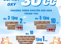 Gói OXYTOC có là bí quyết chống mốc của nhiều xưởng bánh trung thu?