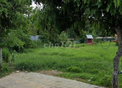 Chính chủ cho thuê đất ruộng mặt tiền đường Nguyễn Văn Bứa, Xã Xuân Thới Sơn, Huyện Hóc Môn, TPHCM