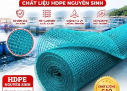 LƯỚI Ô VUÔNG HDPE NGUYÊN SINH