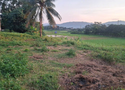 SIÊU PHẨM NGHỈ DƯỠNG BA VÌ - 1339M² SẴN THỔ CƯ - VIEW ĐẸP GIÁ ĐẦU TƯ!