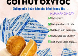 Gói OXYTOC có giúp bánh trung thu vượt qua nỗi lo nấm mốc?