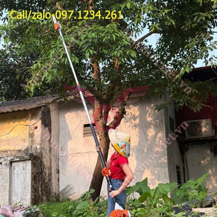 Máy cắt cành trên cao Stihl HT75