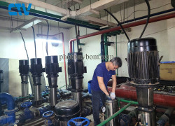 Sửa chữa, bảo dưỡng máy bơm trục đứng đa tầng cánh uy tín, chuyên nghiệp