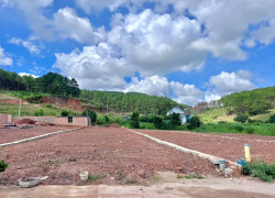 Cần Bán Đất 542m² Có 200m² Thổ Cư Giữa Đồi Thông, Lý Tưởng Xây Nhà Vườn