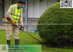 DỊCH VỤ CẮT CỎ – CHĂM SÓC CÂY XANH ĐỊNH KỲ KCN NHƠN TRẠCH, ĐỒNG NAI