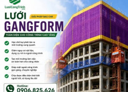 Lưới Gangform QuinnNet cho hệ cốp pha leo