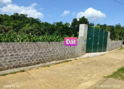 CHÍNH CHỦ CẦN BÁN GẤP LÔ ĐẤT VÀNG NGHỈ DƯỠNG BA VÌ