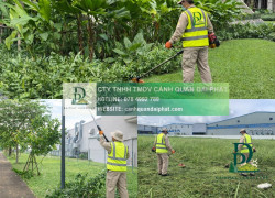 Dịch vụ cắt cỏ, chăm sóc cây xanh tại Long Thành Đồng Nai uy tín – chuyên nghiệp