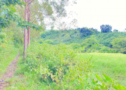 2,6 sào hẻm ql28b - ninh gia, lâm đồng - nghỉ dưỡng - làm vườn ok nha