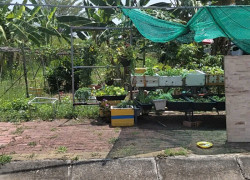 Cần bán đất Thái Sơn Long Hậu, Long An