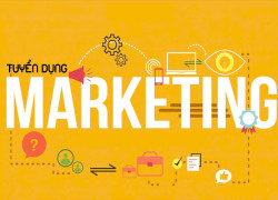 Tuyển NV Marketing có kinh nghiệm làm ở Thủ Đức