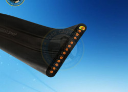 Cáp điện dẹt 12Cx1.5mm²