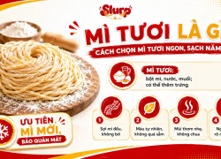 Mì tươi là gì? Cách chọn mì tươi ngon, sạch năm 2026
