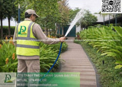 Dịch vụ Cắt cỏ - Chăm sóc cây xanh KCN Nhơn Trạch Đồng Nai