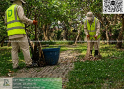 DỊCH VỤ CẮT CỎ – CHĂM SÓC CÂY XANH KCN AMATA BIÊN HÒA ĐỒNG NAI