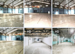Cho thuê kho xưởng sàn sử dụng 2900m2 Tân Thới Nhất Quận 12