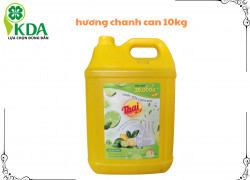 CTY TNHH Khải Dương Anh chuyên cung cấp nước rửa chén THAIECO TIỀN GIANG