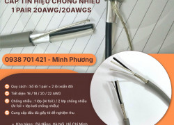 Cáp tín hiệu chống nhiễu 1 Pair 20AWG/20AWGS – Hàng sẵn kho, giá tốt Đà Nẵng, Huế