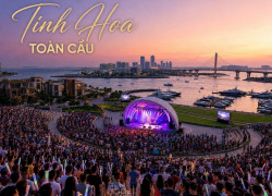vin hạ long xanh