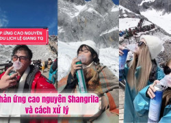Phản ứng cao nguyên Shangrila và cách xử lý