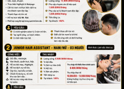 TUYỂN SENIOR và JUNIOR HAIR ASSISTANT Q1