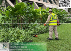 DỊCH VỤ CẮT CỎ – CƯA CÂY BÌNH DƯƠNG | NHANH CHÓNG – AN TOÀN – CHUYÊN NGHIỆP
