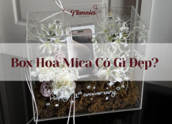 Box Hoa Mica Trong Suốt – Kỷ Vật Lưu Giữ Tình Cảm Sang Trọng & Độc Đáo