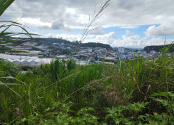 ĐẤT ĐẸP TÔ HIỆU – ĐÀ LẠT  VIEW THOÁNG – ĐƯỜNG Ô TÔ TẬN NƠI