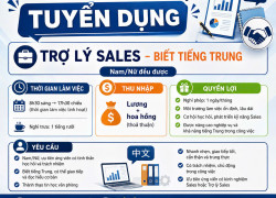 TUYỂN TRỢ LÝ SALES QUẬN 6 (BIẾT TIẾNG TRUNG)