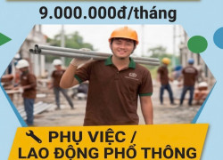 TUYỂN THỢ HỒ, LĐPT, HỌC VIỆC ĐIỆN NƯỚC CẦN THƠ