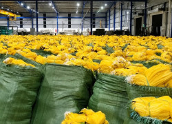 Lưới xây dựng - Lưới công trình -Lưới chống bụi - Lưới cản vật rơi