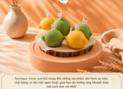 Nến Thơm Decor Hình Quả Chanh – Món Quà Nhỏ Xinh, Độc Đáo
