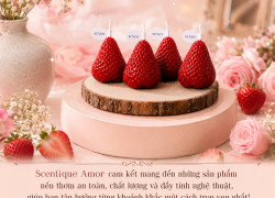 Nến Thơm Dâu Tây Mini Bằng Sáp Đậu Nành – Scentique Amor