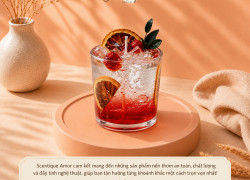 MUA NẾN THƠM LY SODA DÂU TẠI TP.HCM