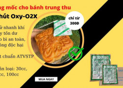 Gói Chống Mốc Cho Bánh Trung Thu O2X Hỗ Trợ Bảo Quản Tốt Hơn