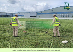CHĂM SÓC CÂY XANH – CẮT CỎ KCN AN PHƯỚC ĐỒNG NAI
