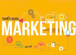 Tuyển nhân viên Marketing làm ở Tây Ninh
