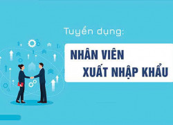 Tuyển NV Nam có kinh nghiệm ngành xuất nhập khẩu