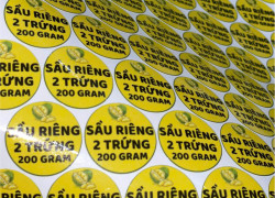 IN TEM NHÃN BÁNH TRUNG THU TẠI CẦN THƠ