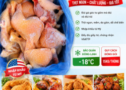 Gà Đông Lạnh Giá Rẻ – Bán Đùi Gà Góc Tư Cho Nhà Hàng, Quán Ăn