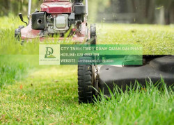 DỊCH VỤ CẮT CỎ ĐỒNG NAI GIÁ TỐT – NHẬN CẮT CỎ NHÀ MÁY, KCN
