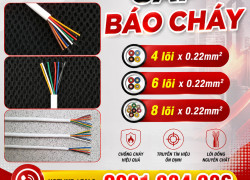 Báo Giá Cáp Báo Cháy 4 Lõi 6 Lõi 8 Lõi 0.22mm² ALTEK KABEL