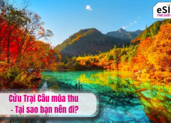 Cửu Trại Câu mùa thu - Tại sao bạn nên đi?