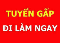 Tuyển LĐPT & thợ điện / sắt/ mộc / sơn