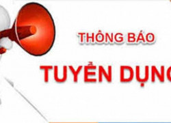 TUYỂN KẾ TOÁN, KCS, THỦ KHO
