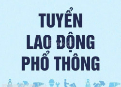 Ảnh Màu Thiên Nga Tuyển Lao Động Phổ Thông