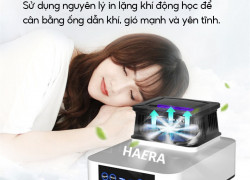 Tủ sấy quần áo phổ biến nhất trên thị trường hiện nay là loại nào?