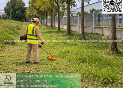 Báo giá dịch vụ cắt cỏ Biên Hòa, Đồng Nai – nhanh gọn, giá hợp lý