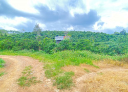Hẻm ql20 - hiệp thuận, ninh gia, lâm đồng - gần trạm dừng chân lê sáng