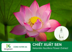 🌸 CHIẾT XUẤT HOA SEN HỒNG BIOGREEN – DƯỠNG SÁNG & TRẺ HÓA LÀN DA 🌸